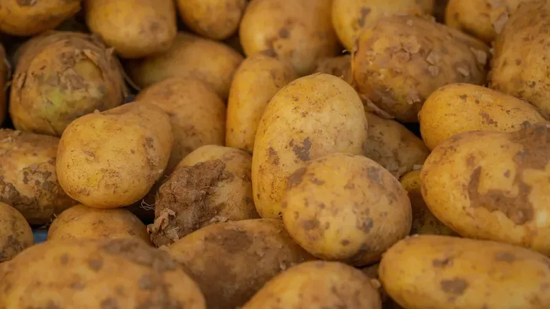 Pommes de terre — 4
